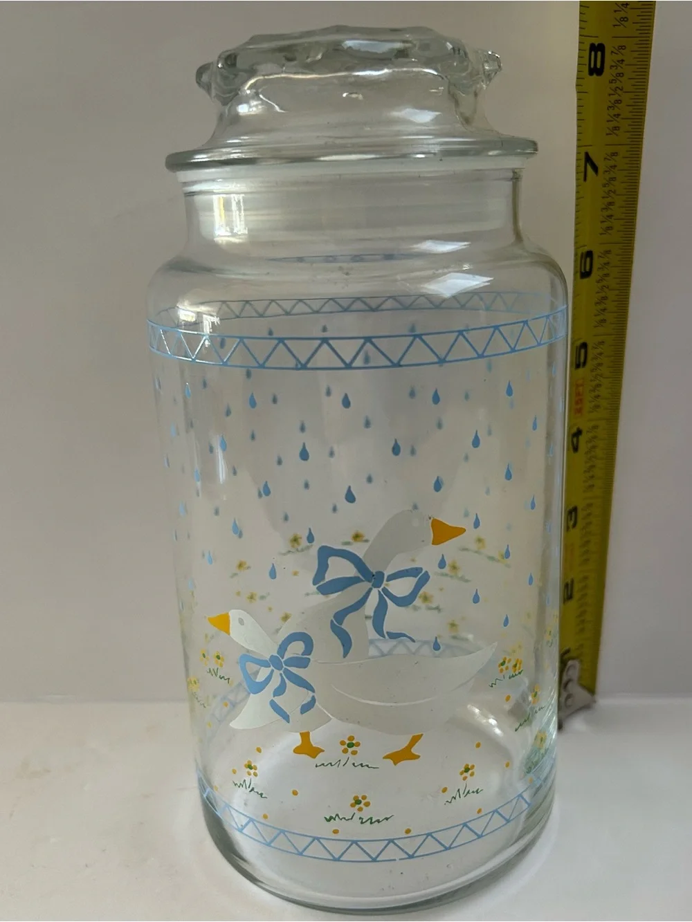 Cottage Core Clear Glass Storage Jar with White Duck Design - Blue Accents